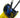 Wringing a commercial mop head in a yellow mop bucket.
